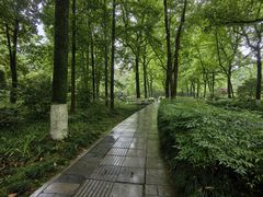 -杭州植物园