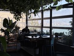 -野菌皇海景野生菌火锅(滨海大道店)