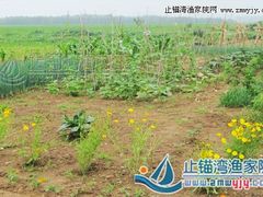 -东戴河风景区-止锚湾