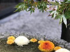 -鯛匠 HANANA