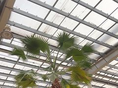 -龙达温泉生态城