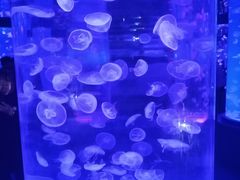 -石林冰雪海洋世界