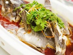 -香格里拉香宫·海鲜青岛菜·鲁菜·淮扬菜