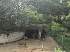 -台州府城(江南长城)