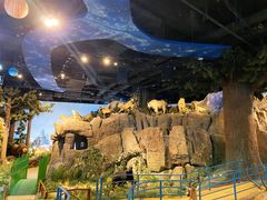 -陕西自然博物馆