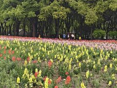-世纪公园-1号门停车场