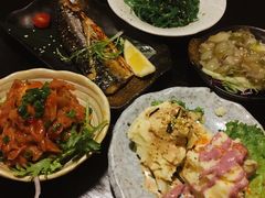 -春草居酒屋·晴子の店