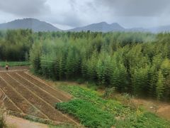 -敬亭山风景名胜区