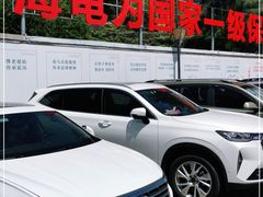 -广东惠东海龟国家级自然保护区
