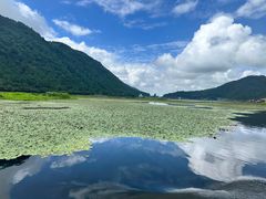 -腾冲北海湿地