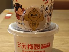 -三元梅园(团结湖店)