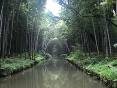 -同里国家湿地公园