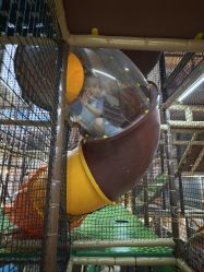 -卡通尼·Safari非洲探索乐园·生日会(金桥国际商业广场店)