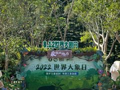 -野象谷景区