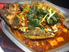 -马邦子·紫苏烤鱼(恒隆广场店)