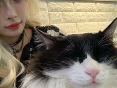 -平行世界·猫咖(首经贸店)