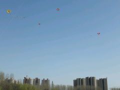 -丁香湖公园