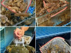 -阳江餐厅·30年老字号·粤菜海鲜大排档