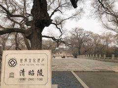 -老王太太串吧(中街店)