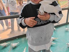 -南京金牛湖风景区