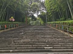 -上海佘山国家森林公园西佘山园