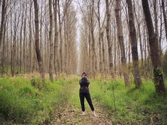 -黄海国家森林公园