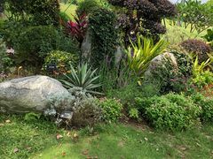 -东莞植物园