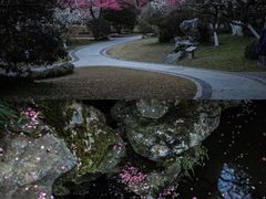 -杭州植物园