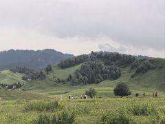 -新疆那拉提国家旅游度假区