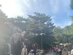 -燕塞湖鸟语林景区