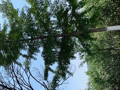 -北京十三陵国家森林公园蟒山景区