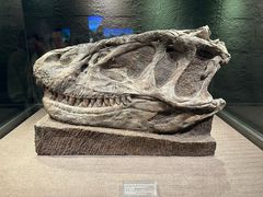 -自贡恐龙博物馆