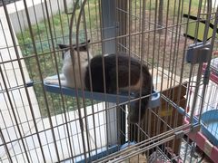 -南戴河国际娱乐中心