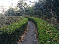 -洛阳市牡丹公园
