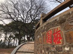 景点-无锡梅园公园