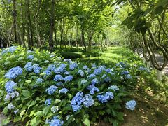 -青岛海滨风景区