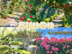 -老鼎万春卤菜(五代传承创始老店)
