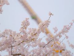 -龙美术馆(西岸馆)