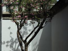 -蒋氏故居