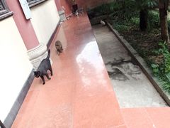 -成都市文殊院