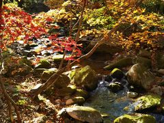 -本溪老边沟风景区
