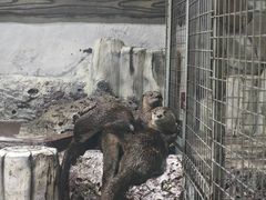 -杭州长乔极地海洋公园