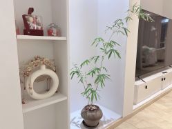 -Yue Show馨选·半永久纹眉纹眼线