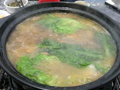 -蘑统田下·野生菌火锅