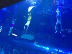 -华夏文旅海洋公园