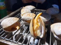 -丹东特色烤肉(南光三部店)