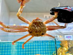 -本达人海鲜烧烤·朝鲜族风味(发展店)
