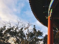 景点-景山公园