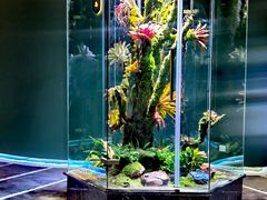 -泰悠谷养生SPA(世茂商业街店)