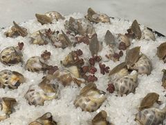 -华盛丰温州大排档(东三环南路店)